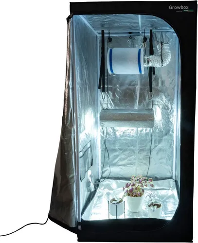 Windhager Indoor Gewächshaus Growbox Starterset, 0,64 m² - Vielseitige Growbox für Pflanzenanbau mit 80x80x160 cm. Komplette Ausstattung inklusive Beleuchtung und Abluftsystem für optimales Pflanzenwachstum. Hochwertiges, wasserdichtes Gewebe sorgt für ideale Bedingungen.