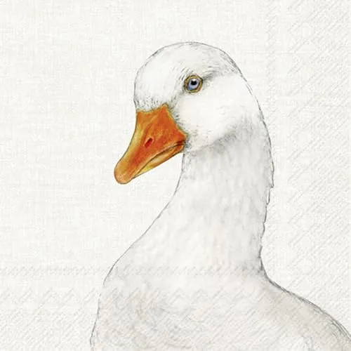 IHR in weiß von IHR Ideal Home Range