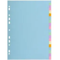 Exacompta Forever Blanko-Register 2620E Farbig sortiert 20 Stück 170 g/m2 Karton