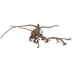 Aquaristikwelt24 - Xl Siennawurzel Nr.5337 Wurzel Holz Aquarium Deko Aquascaping