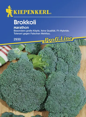 Kiepenkerl Brokkoli Marathon Brassica oleracea var. italica, Inhalt: ca. 40 Pflanzen