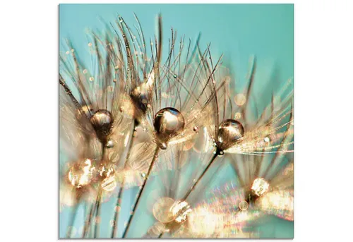 ARTLAND Wanddeko Glasbilder Wandbild Glas Bild einteilig Quadratisch Innere Ruhe Wellness Pflanzen Blumen Pusteblume Regen Tau Wasser Gold S9BU