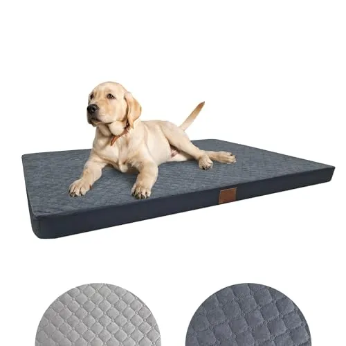 Odolplusz Orthopädisches Hundebett für große Hunde - Hochwertiges Hundebett für mittelgroße und große Hunde, mit waschbarem Bezug für einfache Reinigung und optimalem Schlafkomfort.
