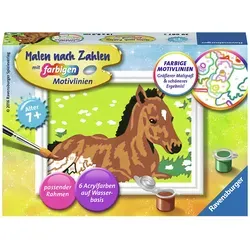 Ravensburger Malen nach Zahlen-Set