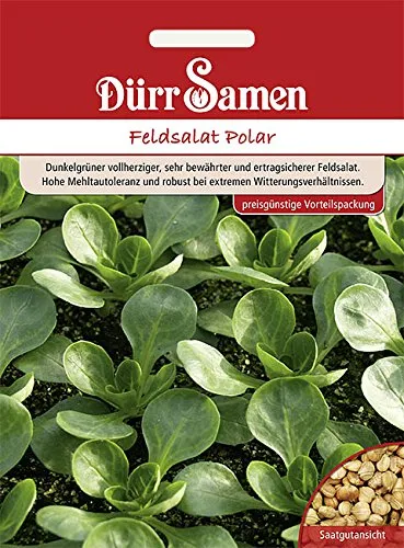 Dürr-Samen - Feldsalat Polar (Vorteilspackung) Saatgut