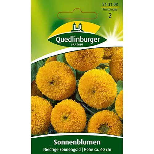 Sonnenblume, Niedrige Sonnengold