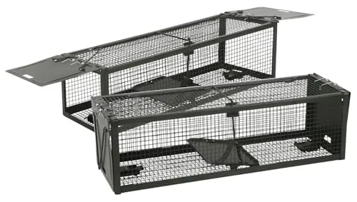 Exbuster Rattenfalle: 2er-Set XXL-Lebendfallen für Mäuse und Ratten, 39 x 12,5 x 10,7 cm (Marderfalle, Lebendfalle Nager, Katze)
