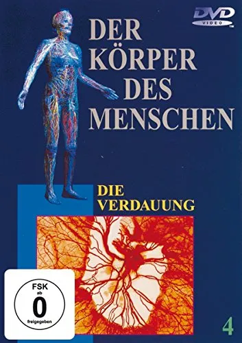 Der Körper des Menschen 4 - Die Verdauung