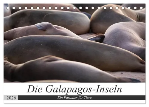 Jeanette Dobrindt | Galapagos-Inseln - Ein Paradies für Tiere (Tischkalender) - Erleben Sie die faszinierende Tierwelt der Galapagos-Inseln mit diesem hochwertigen Tischkalender. Ideal für Natur- und Reisefans, bringt er Ihnen die Schönheit und Vielfalt Südamerikas direkt ins Zuhause.