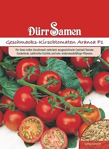Dürr-Samen - Geschmacks-Kirschtomaten Aranca F1 Saatgut
