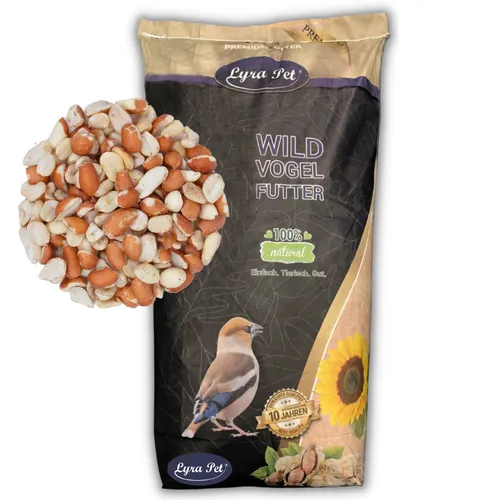 Lyra Pet® Erdnusskerne Splits - 25 kg für Wildvögel - Vogelhauptfutter: Blanchierte, gemischte Erdnusskerne, 100 % natürlich ohne Zusatzstoffe, ideal für die Ganzjahresfütterung und als Energielieferant für Wildvögel.