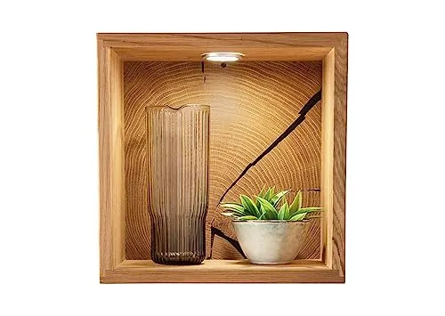 möbelando Wandregal KM-0660 aus Wildeiche massiv geölt in braun. Abmessungen (BxHxT) 34x34x21 cm