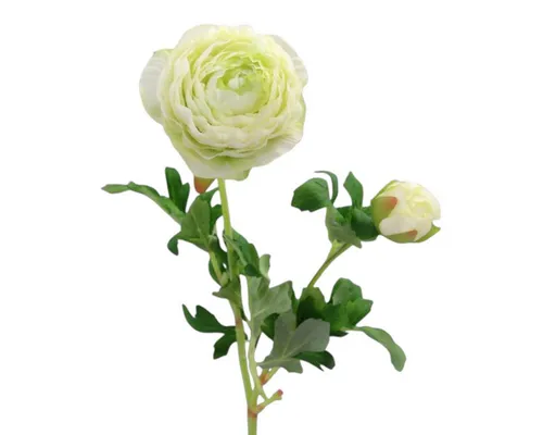 Kunstblume, Seidenblume RANUNKEL ca 40cm, Gasper, Höhe 40.00 cm