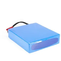 48V 30Ah Lithium-Ionen Akku für E-Bike & Scooter