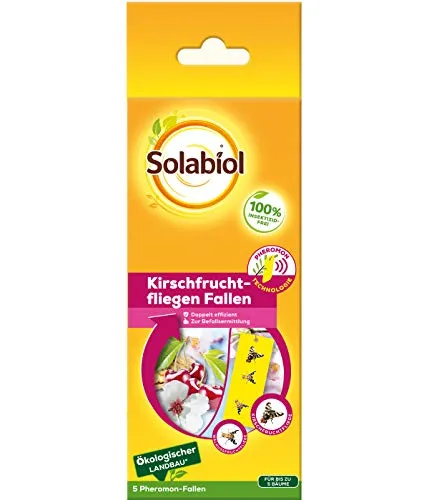 Solabiol Kirschfruchtfliegen-Fallen - 5 Stück, insektizidfreie Pheromonfallen für effektive Madenbekämpfung an Kirsch- und Walnussbäumen, wasserbeständig und lange Wirksamkeit