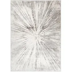 Tapiso Teppich Hellgrau Rechteckig 80x150 cm - Eleganter Kurzflorteppich aus der VALLEY-Kollektion, ideal für moderne Wohnräume. Hohe Widerstandsfähigkeit und stilvolle Designs sorgen für eine gemütliche Atmosphäre in jedem Raum.