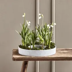 House Doctor Dekoration von House Doctor