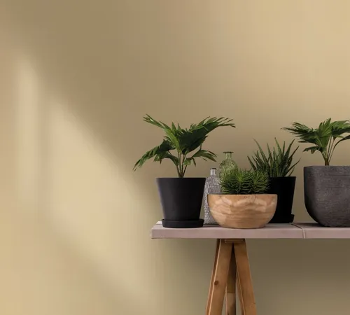 Tapete Creme Uni Muster für Schlaf und Wohnzimmer 10,05x0,70m MADE IN GERMANY