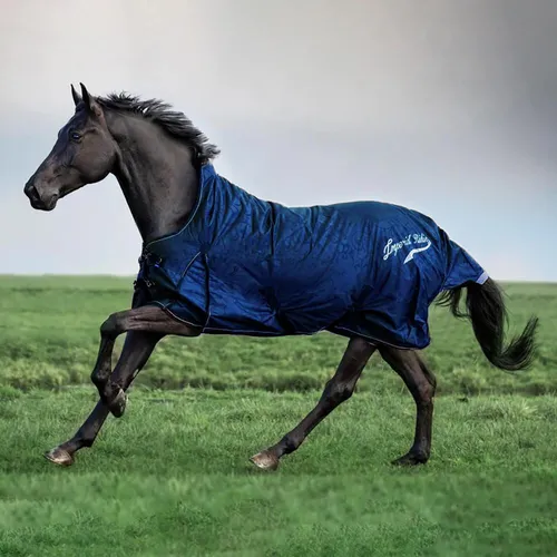 Imperial Riding Super-Dry 300g