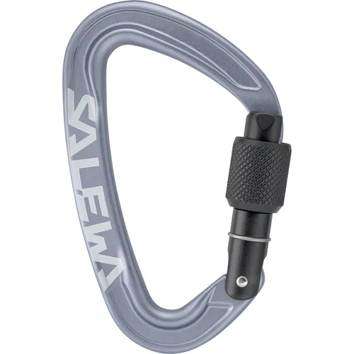 Salewa Ortles Screw Karabiner (Größe One Size, grau)