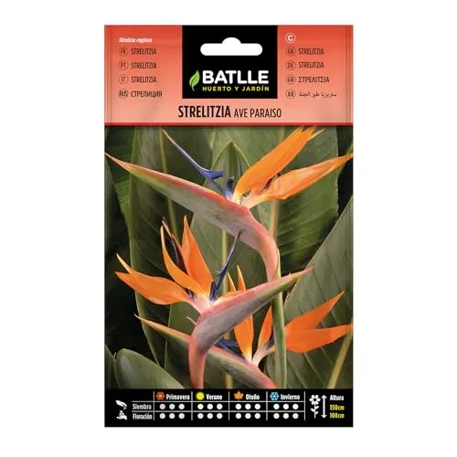 Semillas Batlle Strelitzia Vogel Paradies