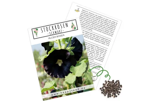 HappySeed Blumensamen Stockrosen Samen - Alcea Rosea (Schwarz), Rosen