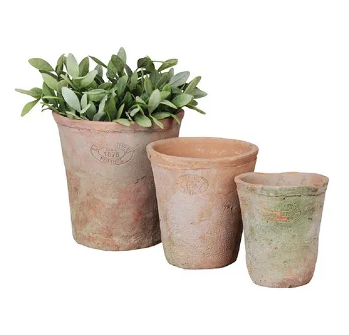Blumentöpfe & Pflanzgefäße aus Terracotta von Esschert Design