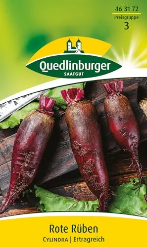 Rote Rübe, Cylindra