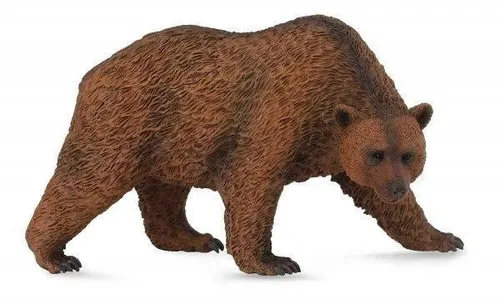 Braunbär