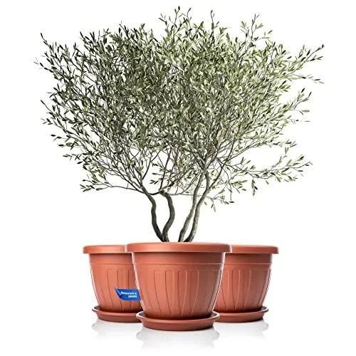 Blumentöpfe & Pflanzgefäße Orange von BigDean