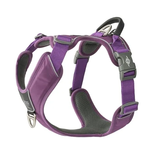 DOG Copenhagen Comfort Walk Pro Hundegeschirr, Purple Passion, XS - Das DOG Copenhagen Comfort Walk Pro Hundegeschirr in Purple Passion bietet eine optimale Passform und Komfort für Ihren Hund. Mit reflektierenden Elementen für bessere Sichtbarkeit und zwei Leinenbefestigungen für mehr Kontrolle.