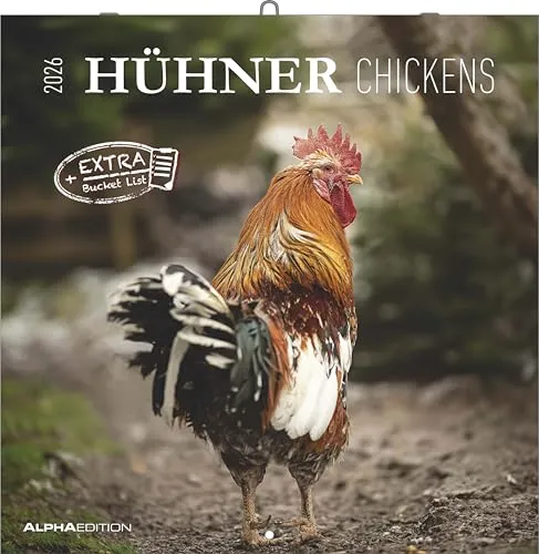 Alpha Edition - Hühner 2026 – Broschürenkalender 30×30 cm (30×60 cm geöffnet) mit Notizbereich, humorvoller Wandkalender mit 12 Hühner-Motiven, Tierkalender & Geschenkidee für Tierfreunde: Chickens