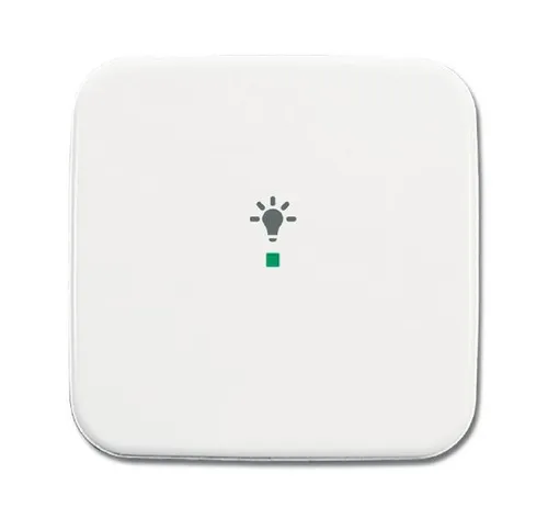 Busch-Jaeger 6231-10-214 Wippe 1-fach mit Symbol Licht