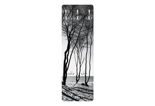 Bilderdepot24 Garderobenpaneel schwarz-weiß Bäume Wald Natur Strand Meer Bäume an der Ostsee (ausgefallenes Flur Wandpaneel mit Garderobenhaken Kleiderhaken hängend), moderne Wandgarderobe - Flurgarderobe im schmalen Hakenpaneel Design