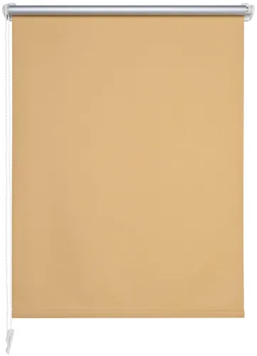 Liedeco Seitenzugrollo Gr. 4, rot (apricot), 150cm, 45cm in orange von Liedeco