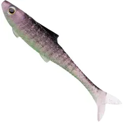 Zeck Angeln & Fischen von Zeck