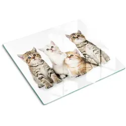 Tulup Glasplatte, Braun, Glas, 60x52 cm, Küchenzubehör, Schneidebretter