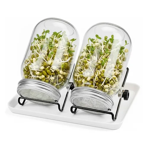 Sprossenglas Anzuchtglas Keimbox Kressesieb Keimbox Microgreens Glas 2er Set