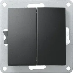 Einsatz schwarz Taster zweifach 230 Volt 10 Ampere - Schwarz 2794