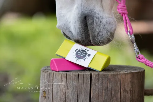 fellschön® Fellwechselhelfer in sattem Apfelgrün von fellschön