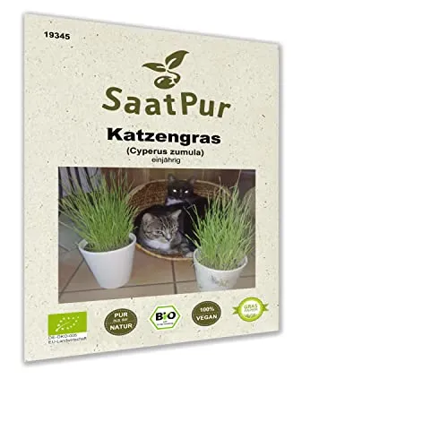 Katzengras BIO Samen Suessgras Snack Katzengrassamen schnell keimendes Katzengrassaat Triticum aestivum 100 g