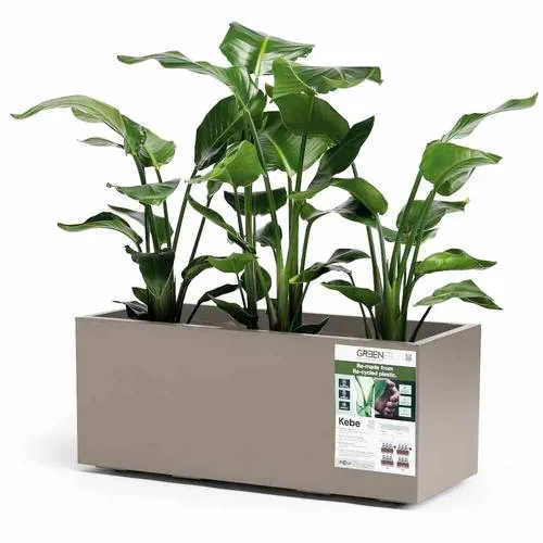 Euro3plast Greener KEBE 3154.G9 Pflanzkasten - Garten-Zubehör mit praktischem Wasserreservoir, robust durch doppelte Wände und mobil dank feststellbarer Bodenrollen – ideal für jede Pflanze!