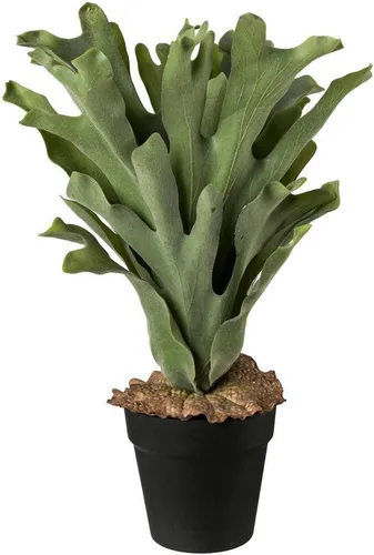 Künstliche Zimmerpflanze, Creativ green, Höhe 45 cm