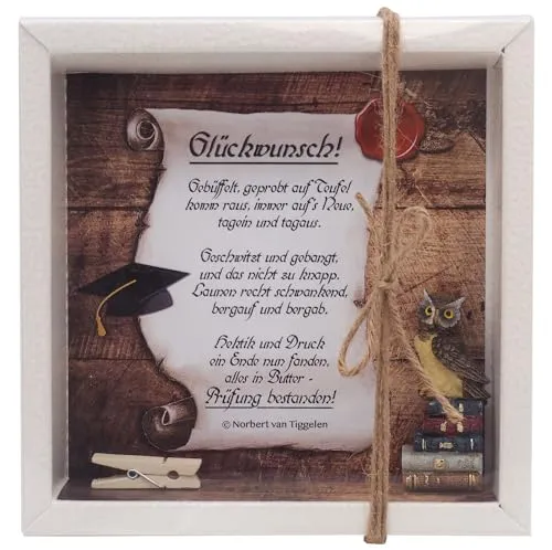 ZauberDeko Geschenkbox zur Prüfung, Geldgeschenk Eule in beige von ZauberDeko