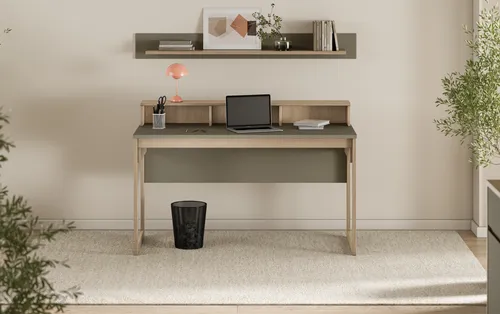 Schreibtische Grün von Home Affaire