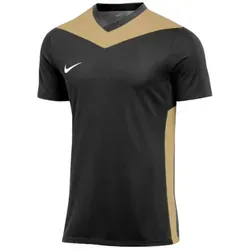 Nike Fußballtrikot Nike Performance Park Derby IV Trikot Trikots Teamsport schwarz XXL (60/62)