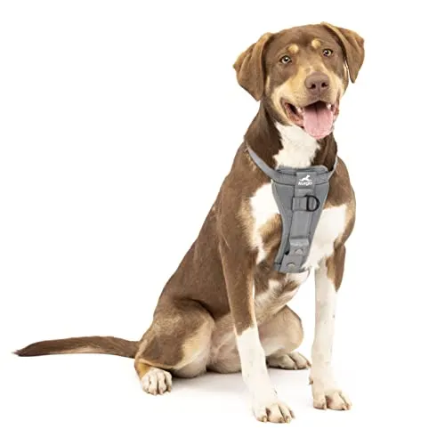 Kurgo TRU-Fit Hundegeschirr - Auto-Sicherheitsgurt für Hunde bis 34 kg, crash-testet nach Kindersitzstandards, verstellbar für optimalen Komfort und Sicherheit im Auto.