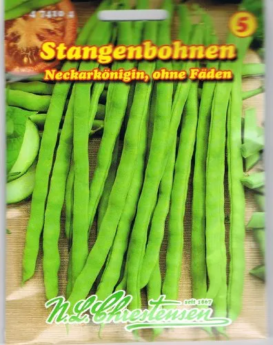 Stangenbohnen Neckarkönigin, ohne Fäden