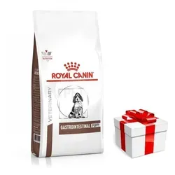 ROYAL CANIN Gastro Intestinal Junior GIJ29 2,5kg - Spezielles Diätfutter für junge Hunde - Hundefutter für heranwachsende Hunde mit Magen-Darm-Erkrankungen, unterstützt die Verdauung mit hochverdaulichen Proteinen und fördert eine gesunde Darmflora.