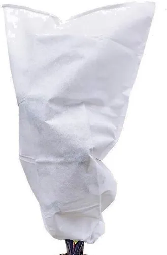 Winterschutz Frostschutz für Pflanzen Wintervlies Winterhaube 100 g/m² 1x 2.4x2m